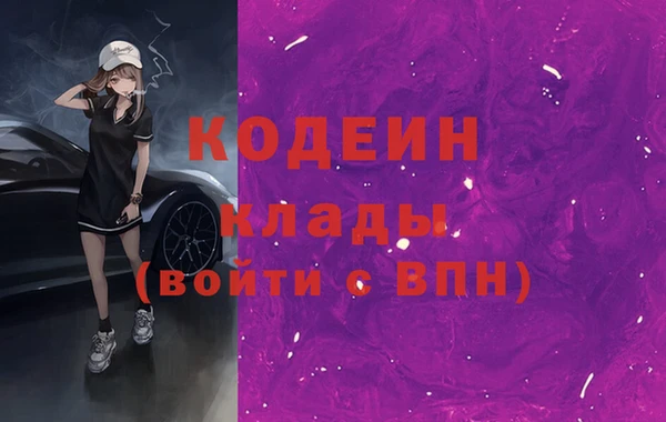 прущие грибы Новозыбков
