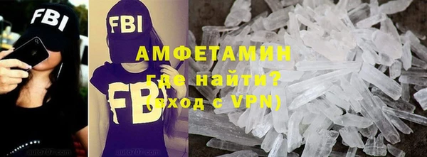 прущие грибы Новозыбков