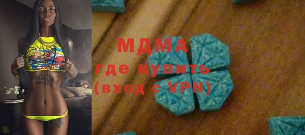 прущие грибы Новозыбков