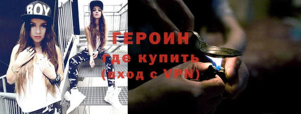 прущие грибы Новозыбков