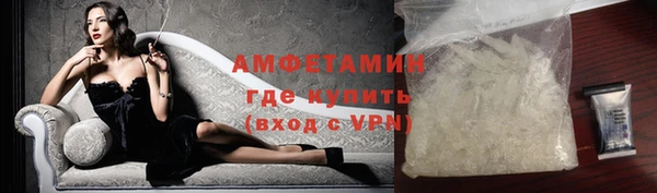 прущие грибы Новозыбков