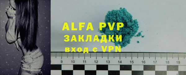 прущие грибы Струнино