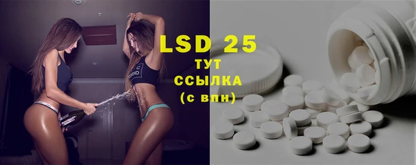 прущие грибы Новозыбков