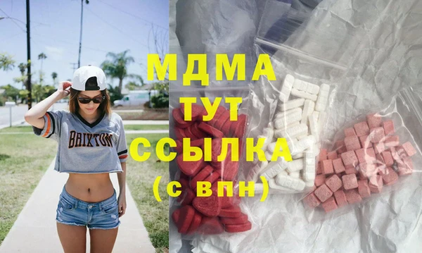 прущие грибы Новозыбков