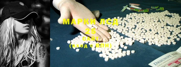 прущие грибы Новозыбков
