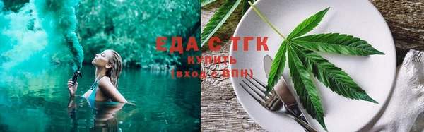 прущие грибы Новозыбков
