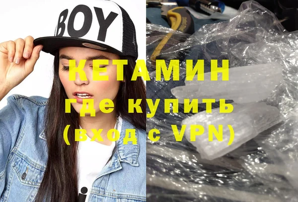 прущие грибы Новозыбков