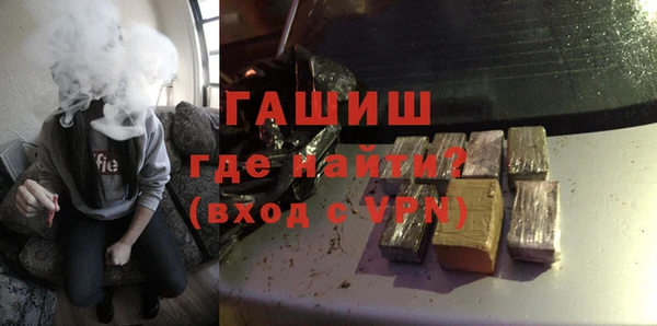 прущие грибы Новозыбков