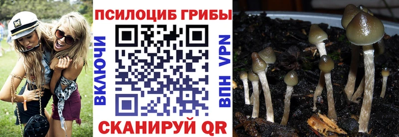 Псилоцибиновые грибы Cubensis blacksprut как войти Осташков